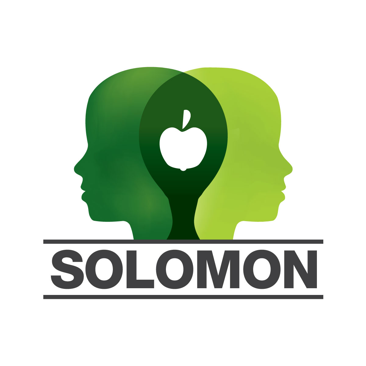 Centrul Solomon